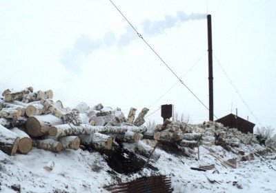 Лесопилку закрыли за нарушения в Новосибирской области